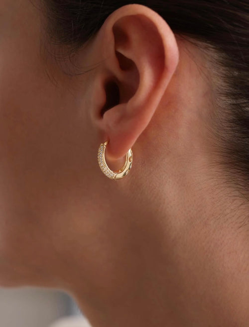 Gold Plated U model Zircon Stone Earring